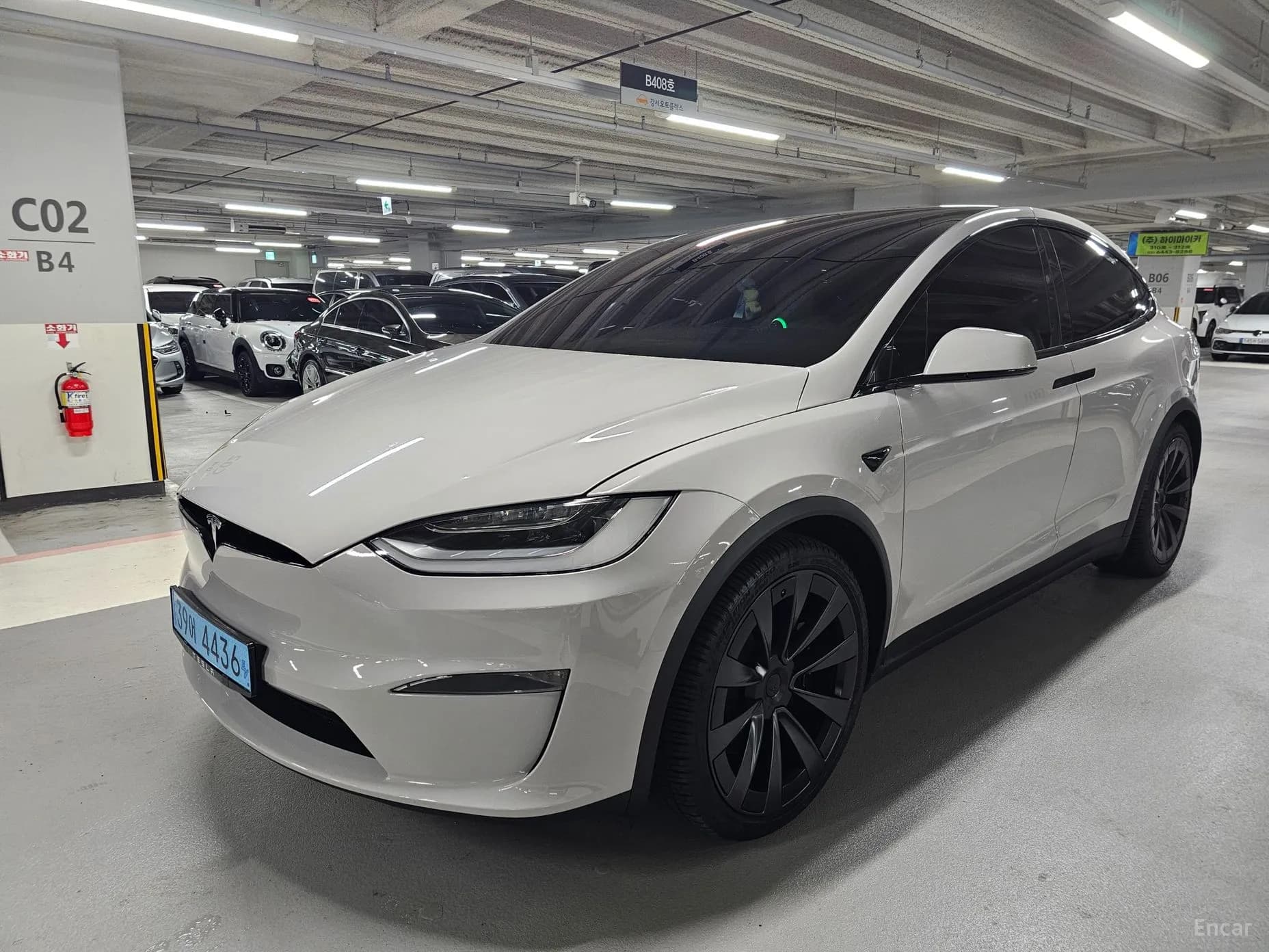 Model X