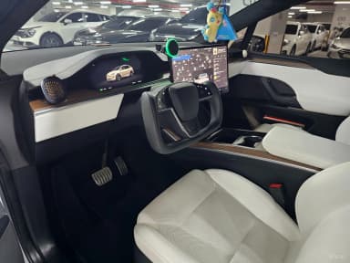 Model X