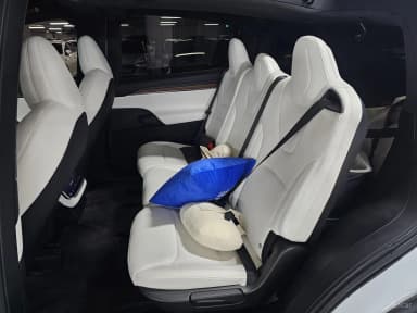 Model X