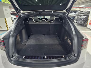 Model X