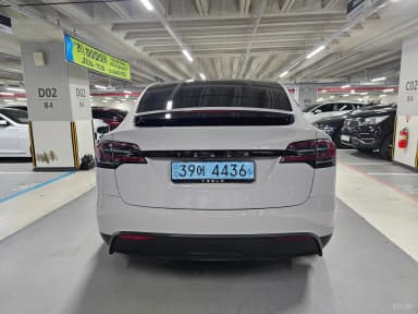 Model X
