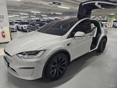 Model X