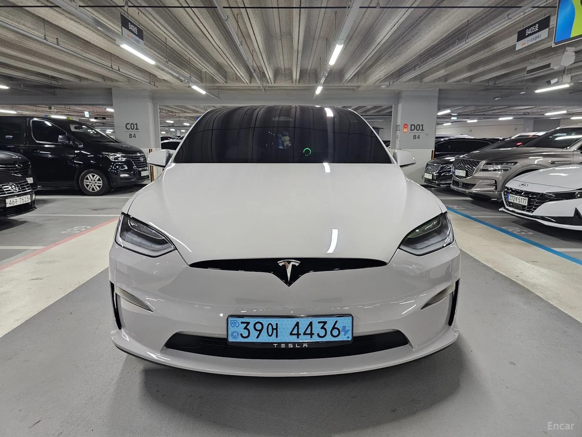Model X