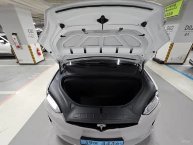 Model X