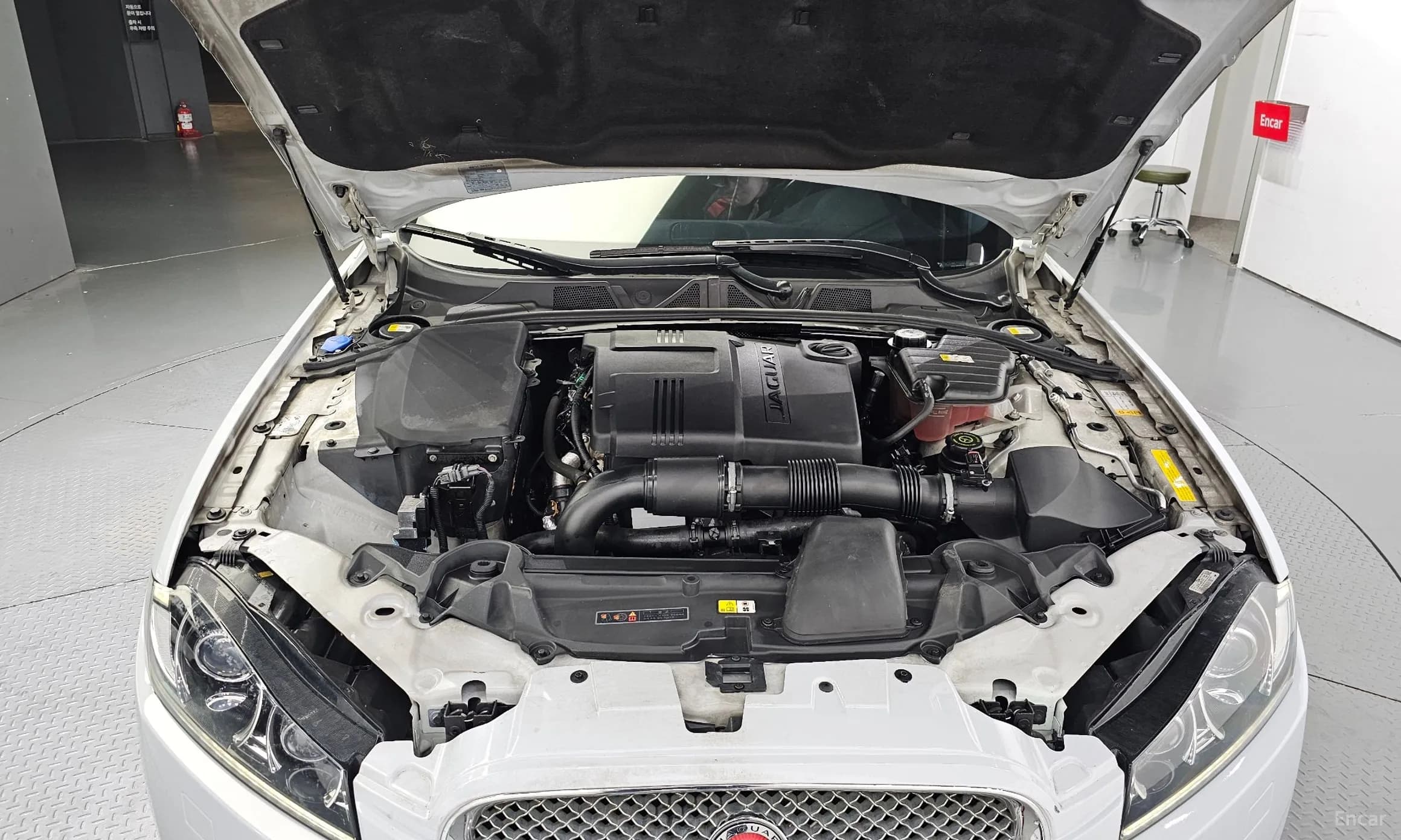 New XF