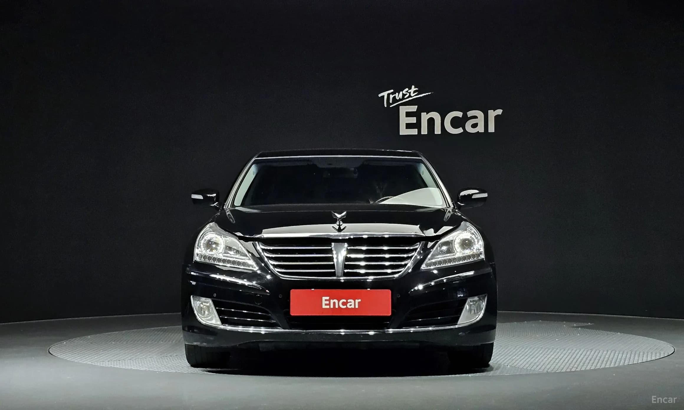 Equus (new)