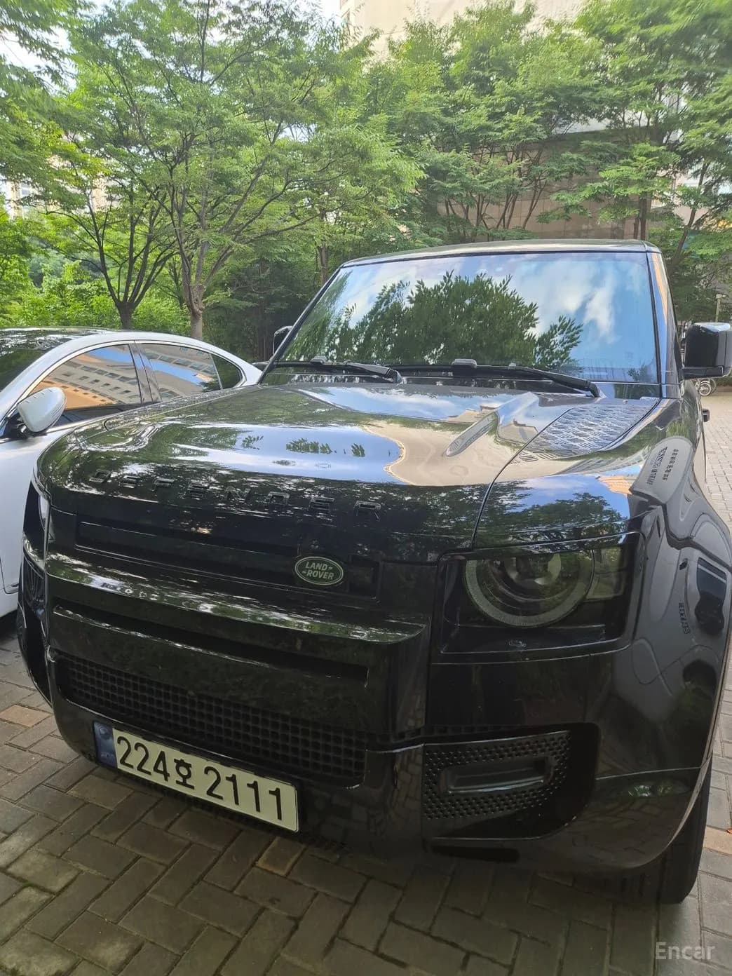 Defender (L663)