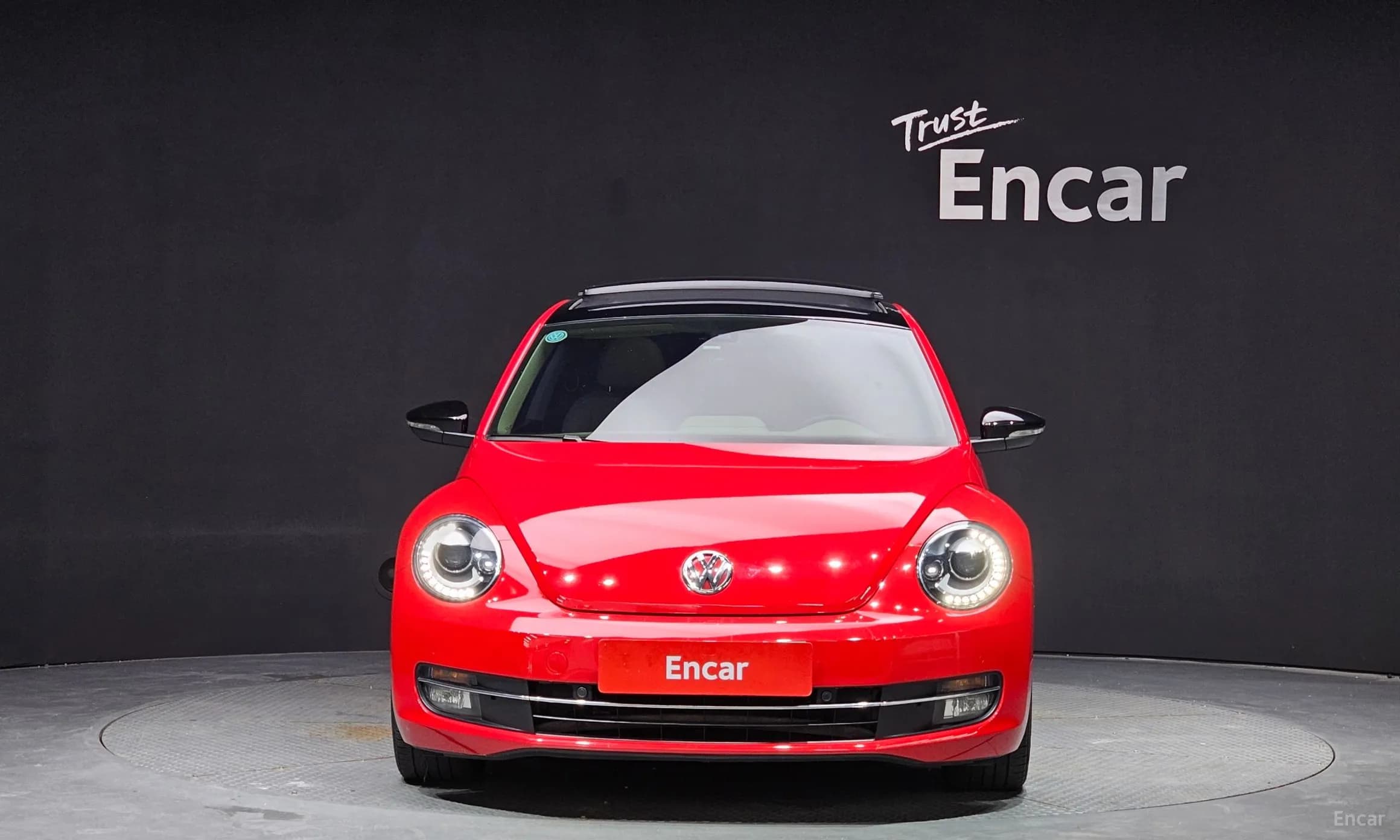 The Beetle