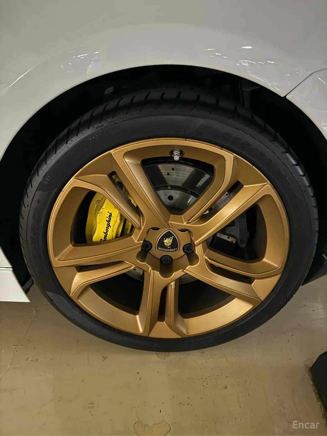 GALLARDO