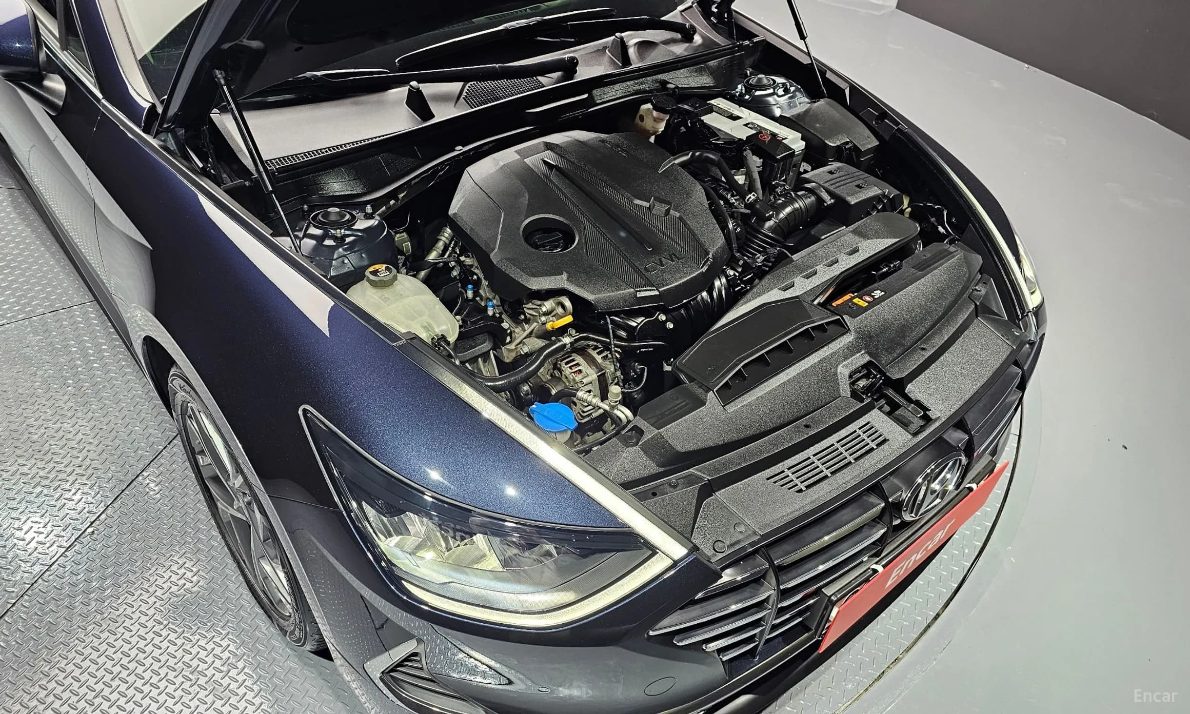 Sonata (DN8)
