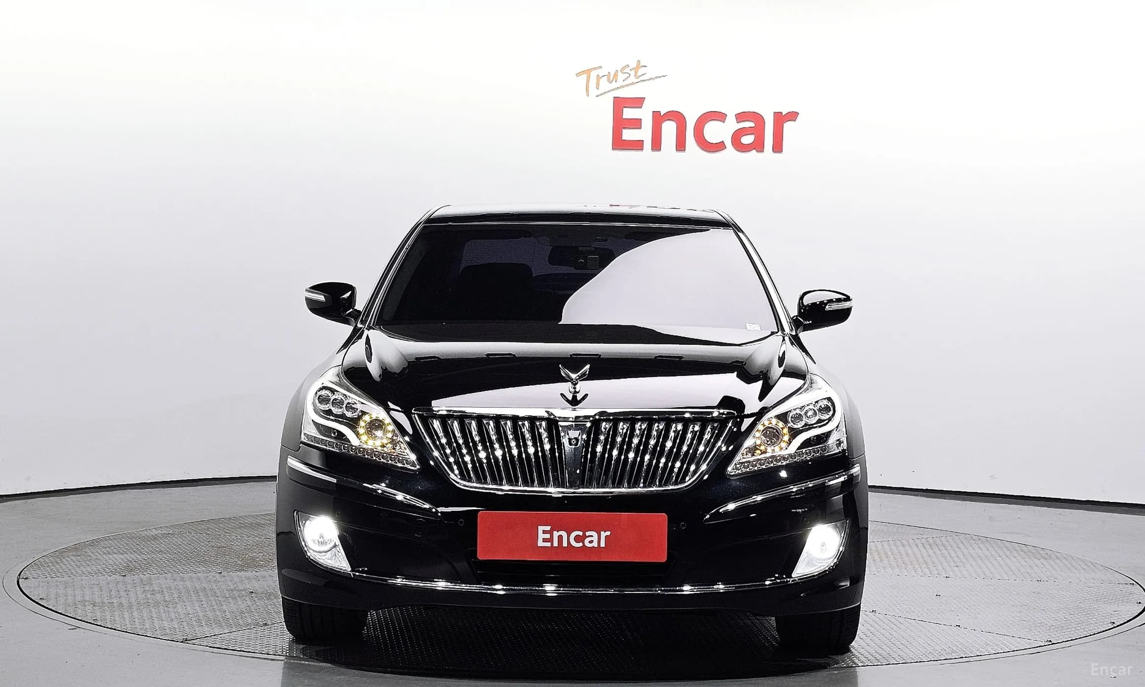 Equus (new)