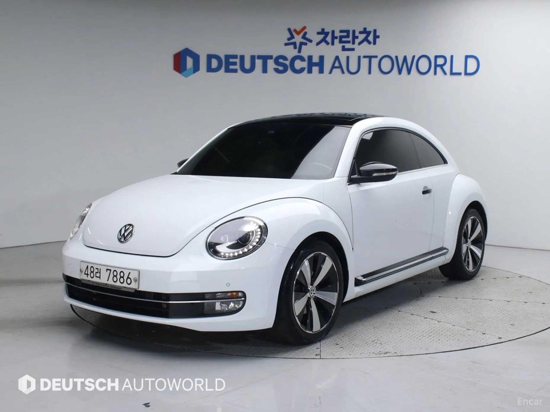 The Beetle