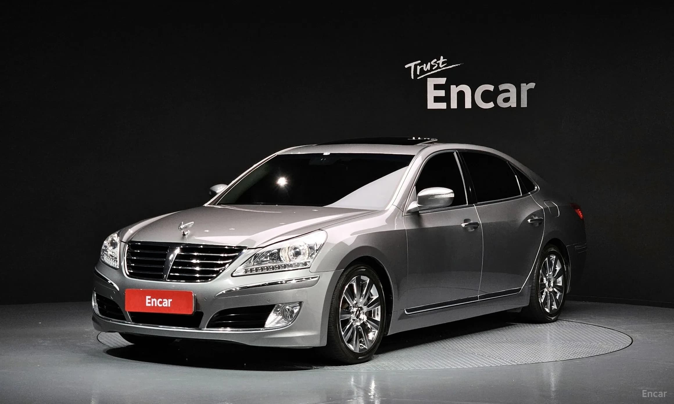 Equus (new)