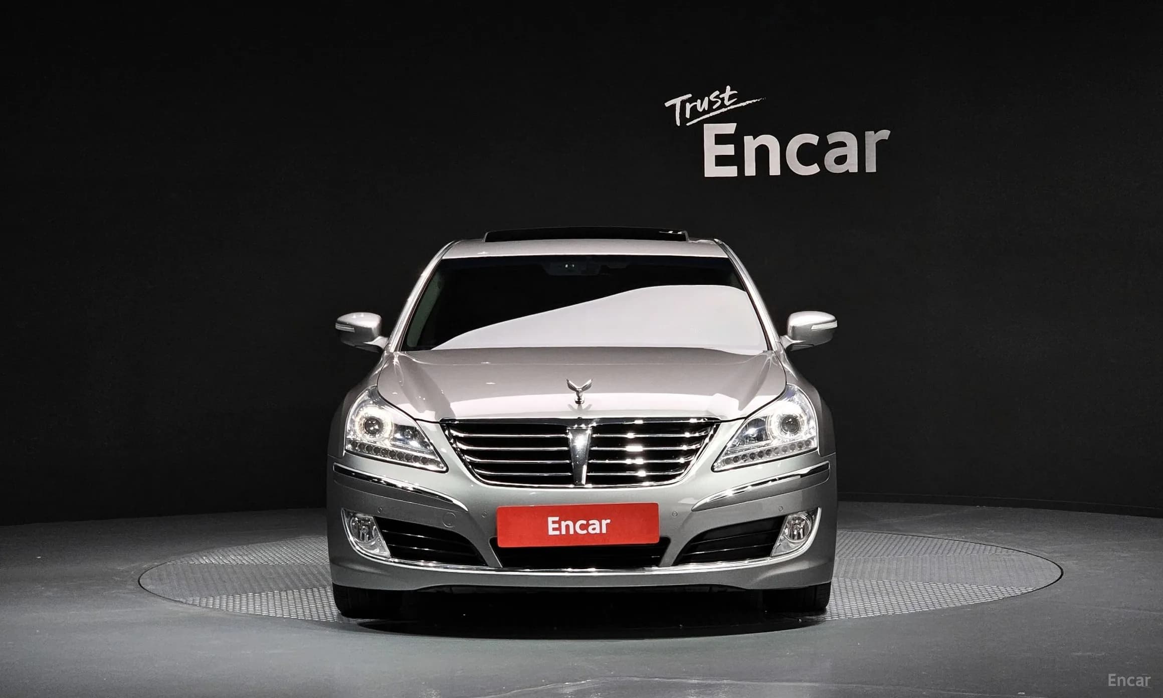 Equus (new)