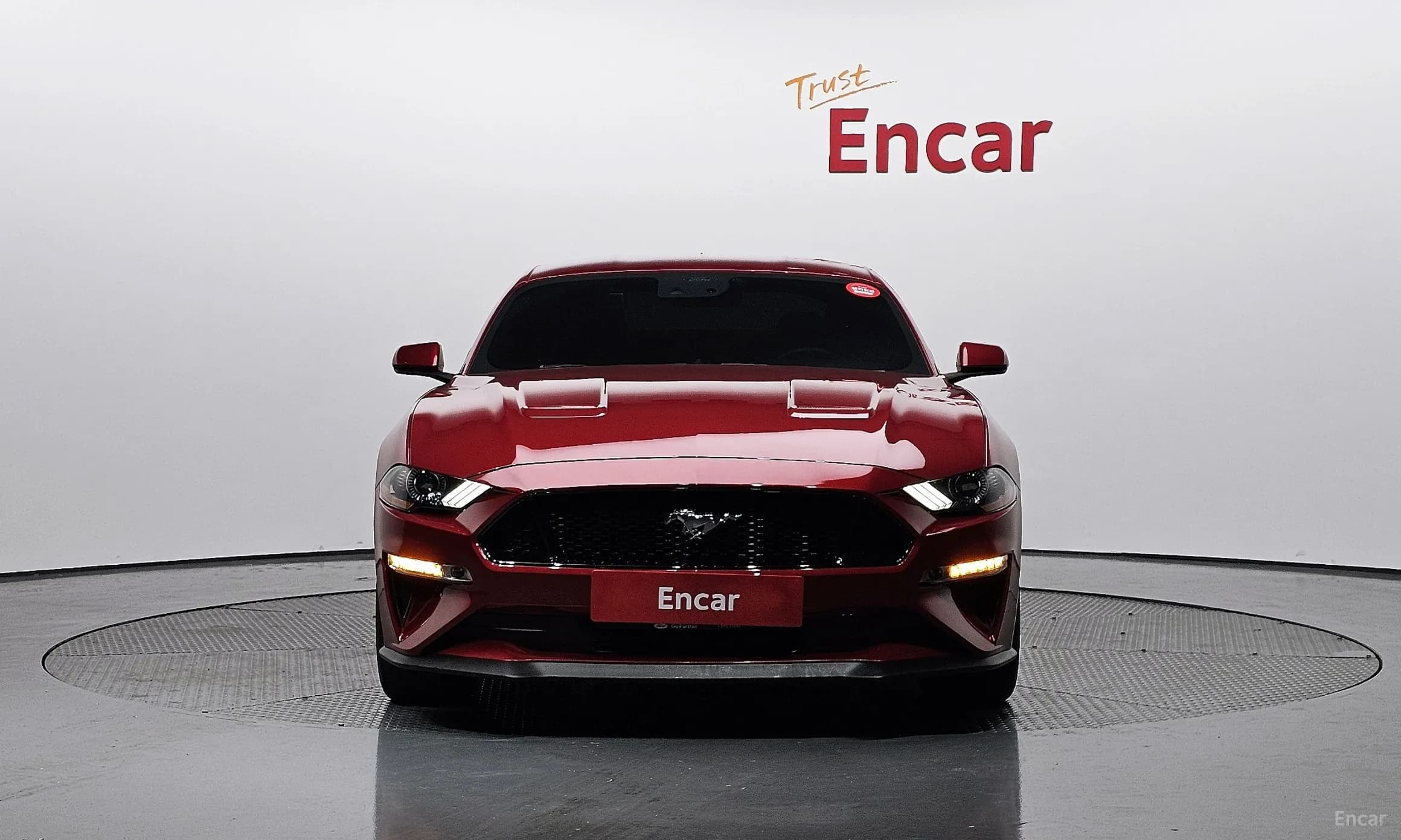 Mustang