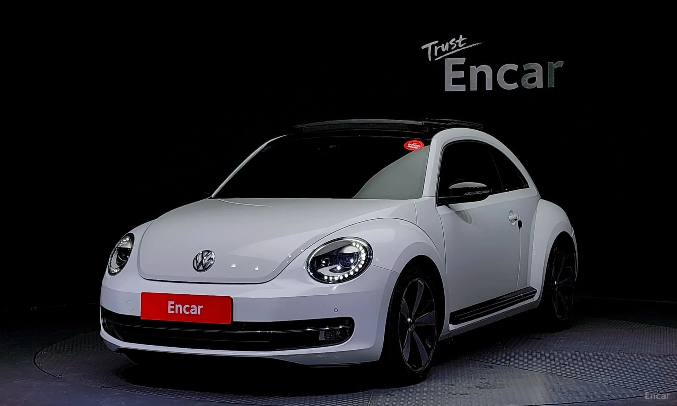 The Beetle