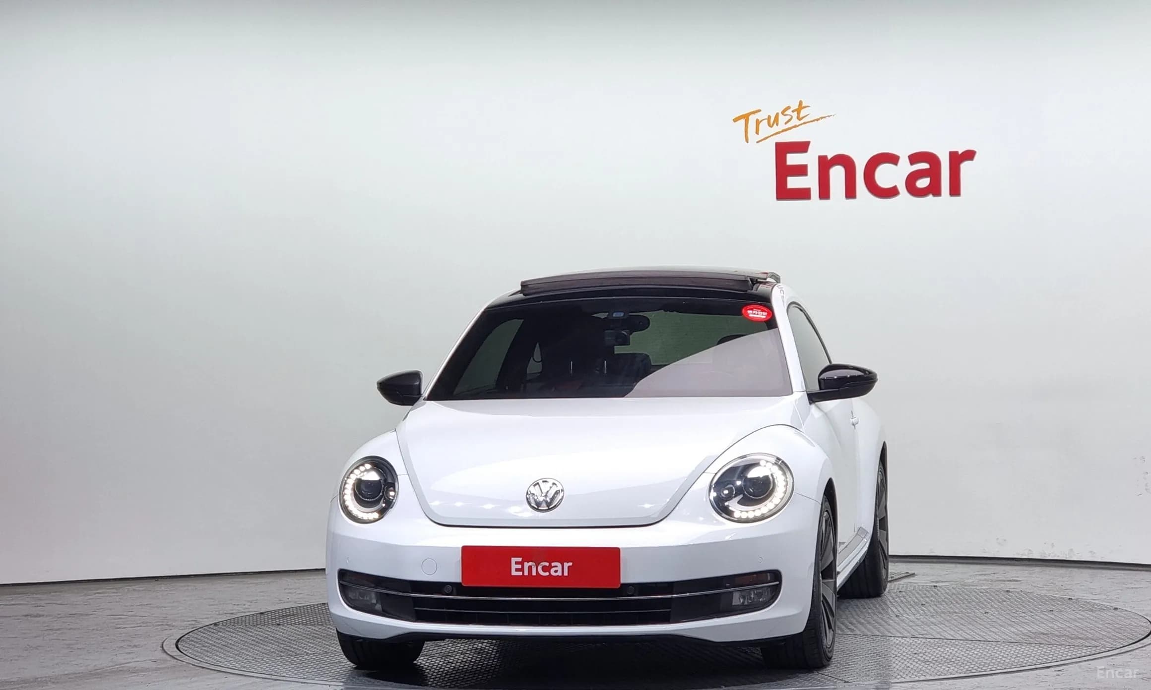 The Beetle