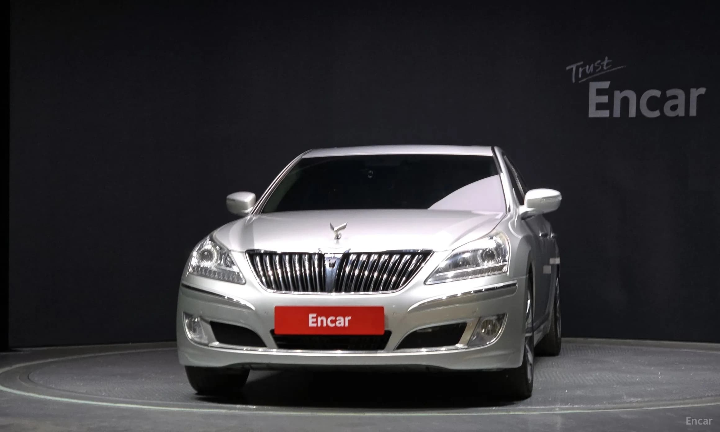 Equus (new)