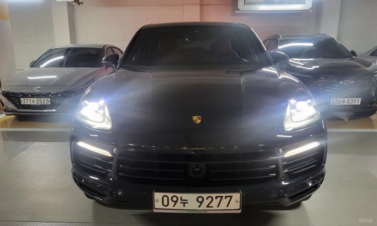 Cayenne (PO536)