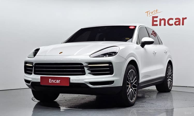 Cayenne (PO536)
