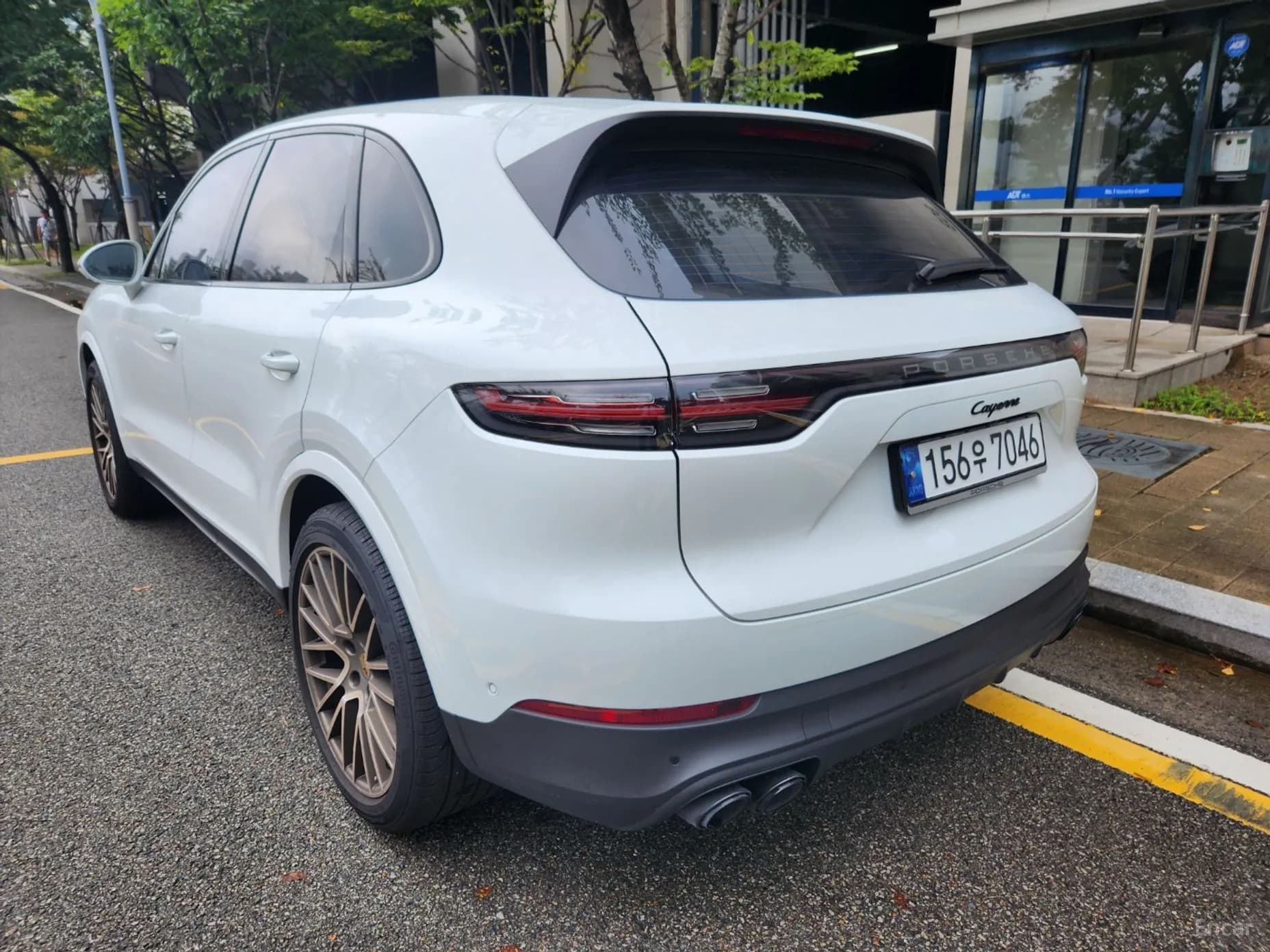 Cayenne (PO536)