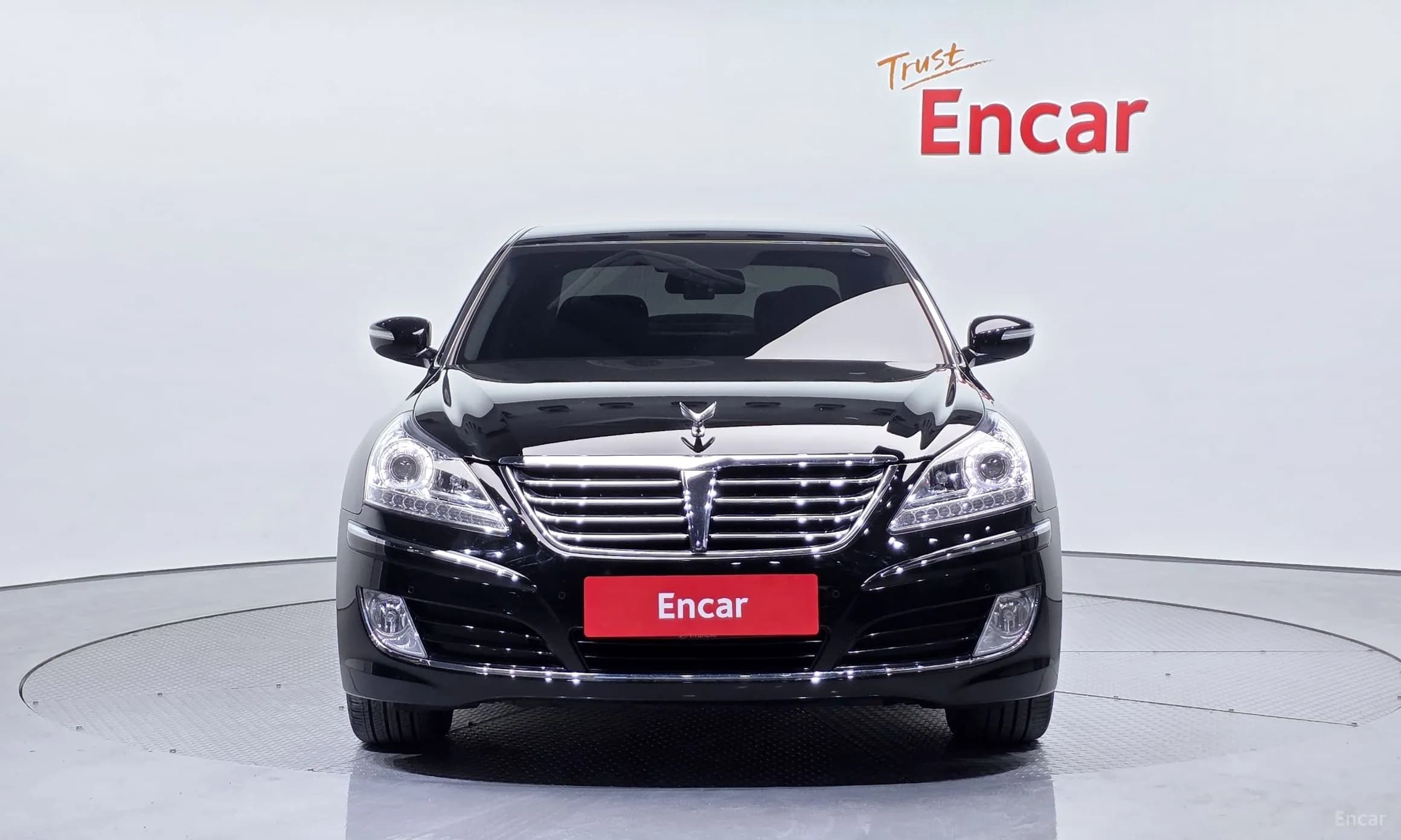 Equus (new)
