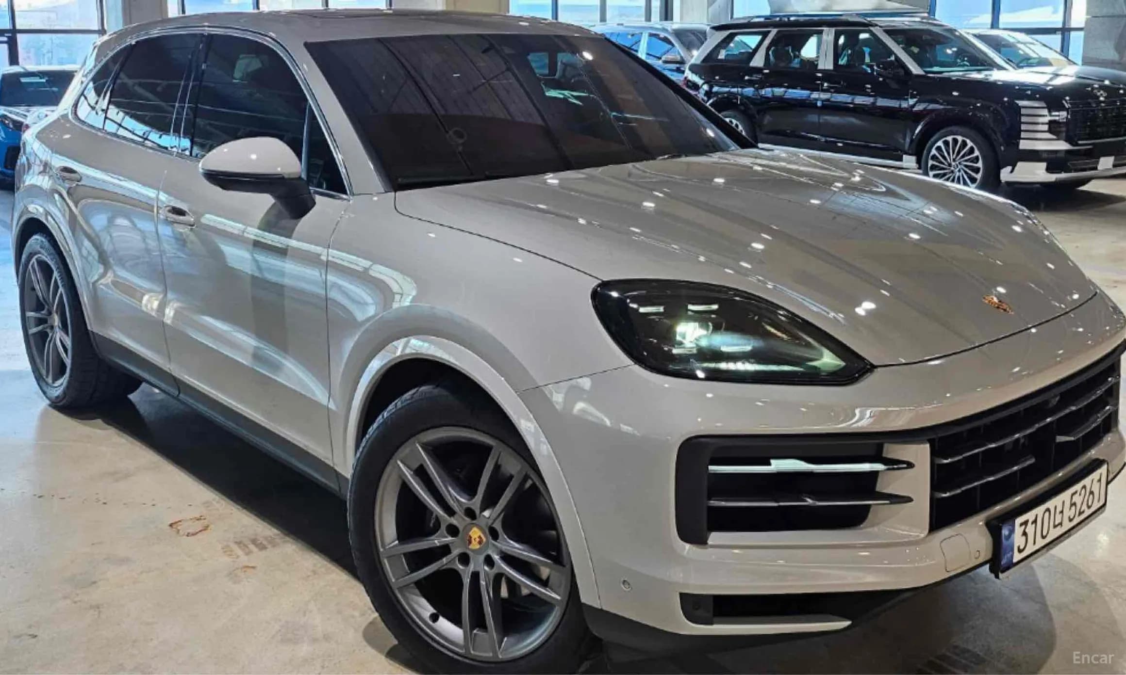 Cayenne (PO536)