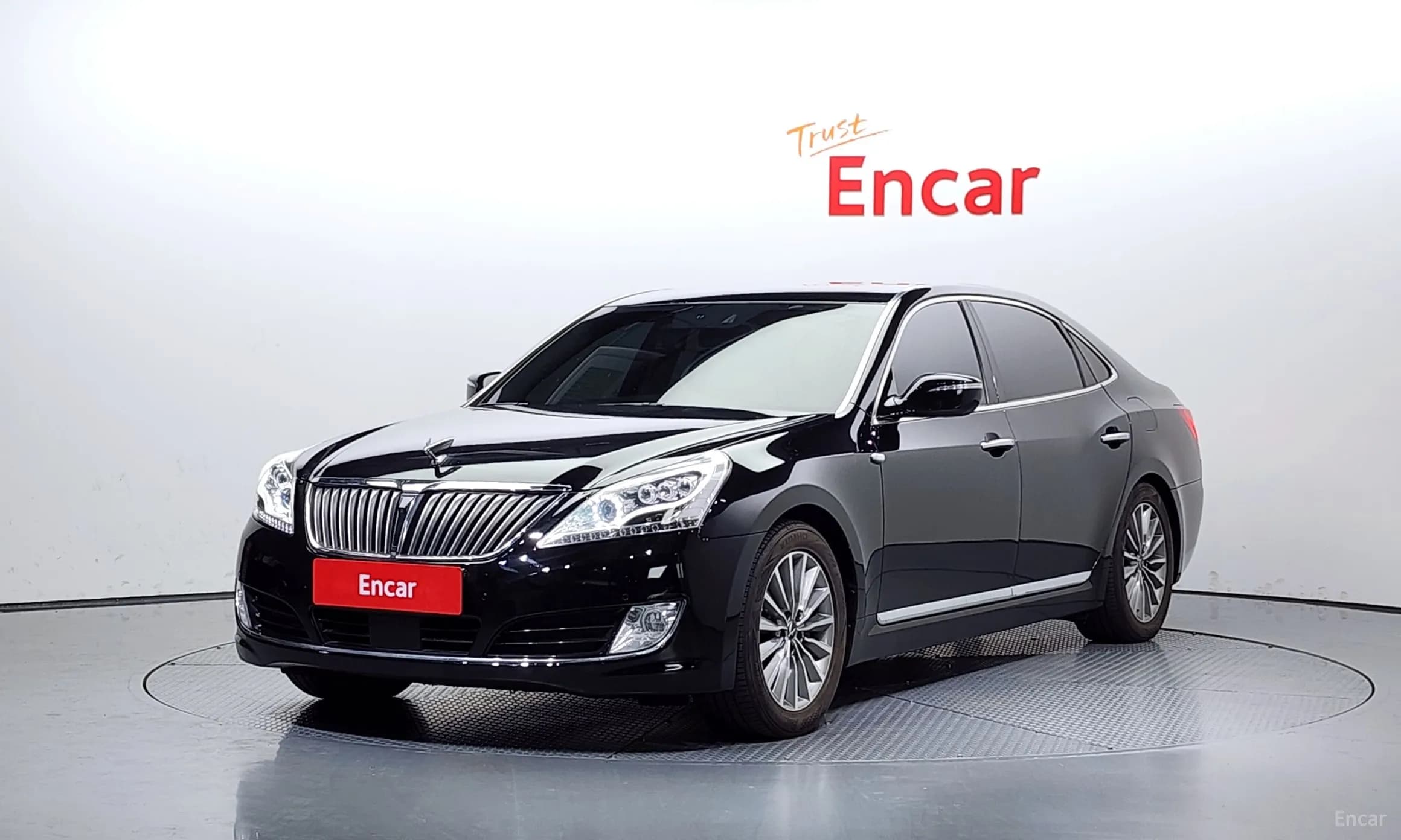 Equus (new)