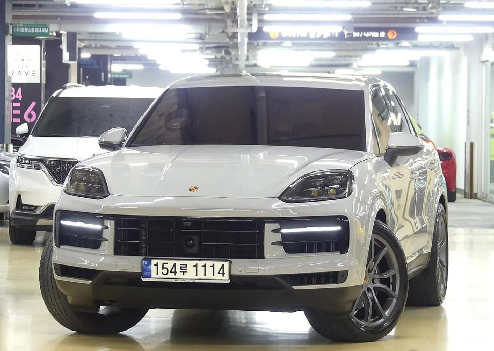 Cayenne (PO536)