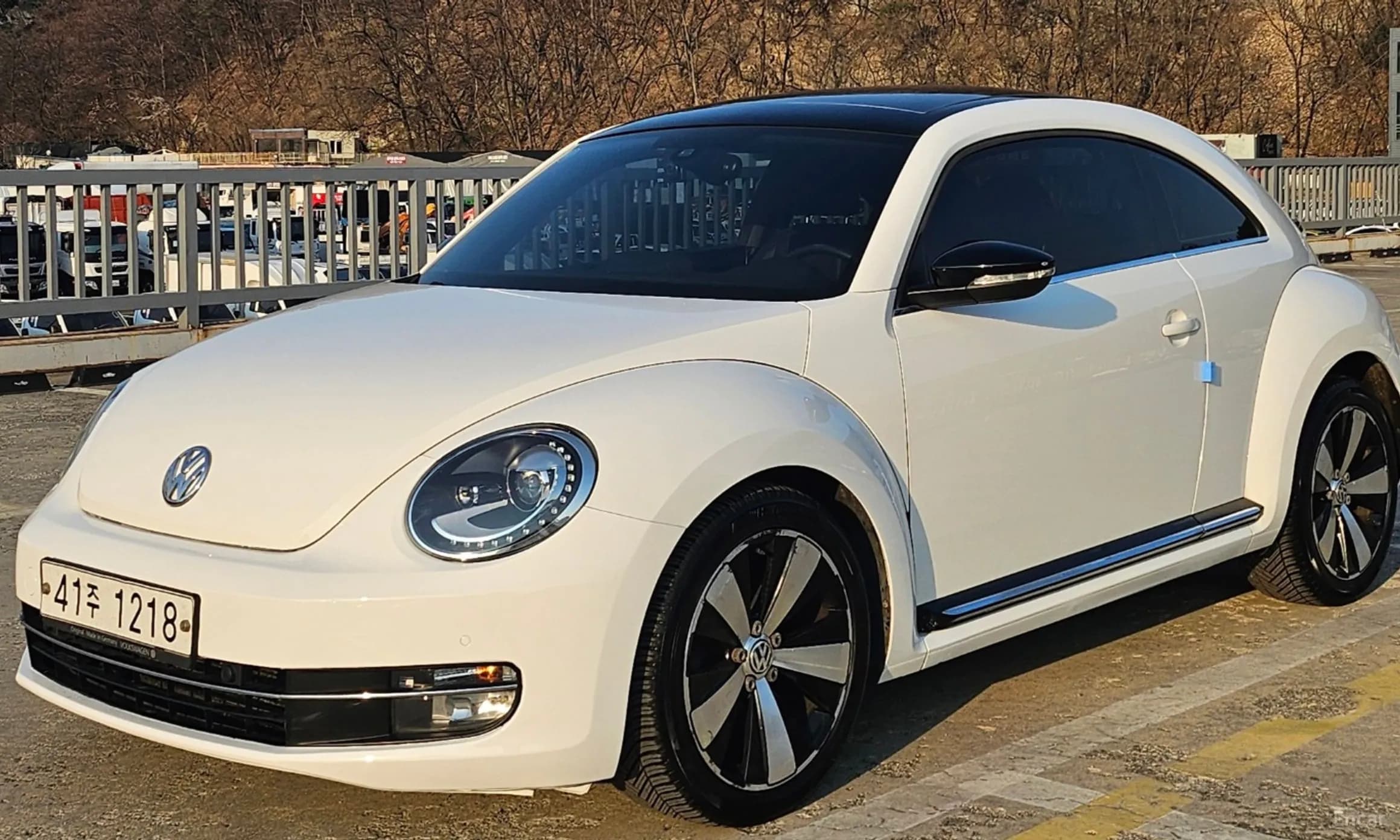 The Beetle
