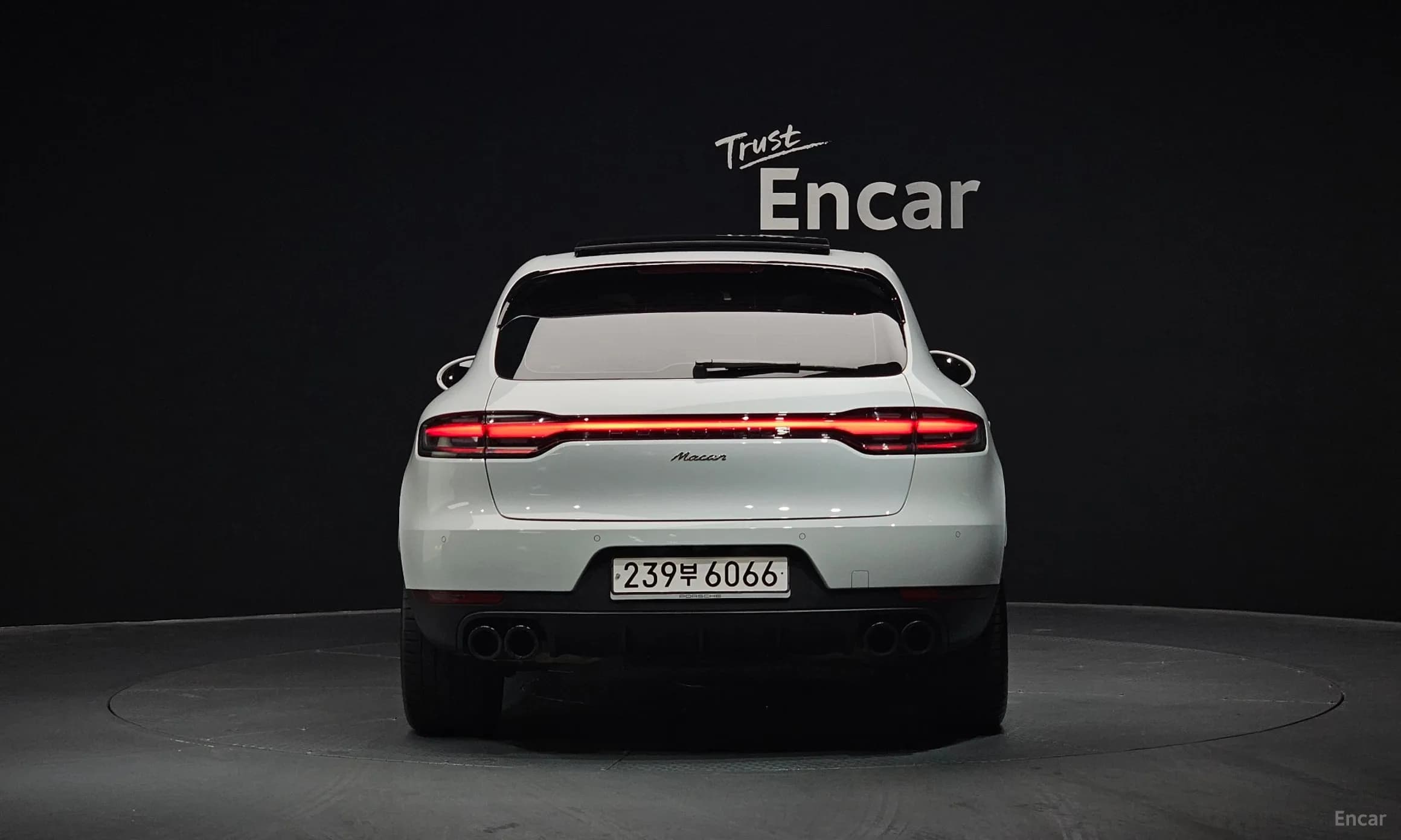 Macan