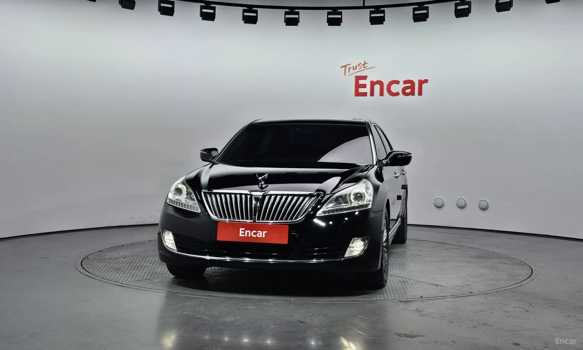 Equus (new)