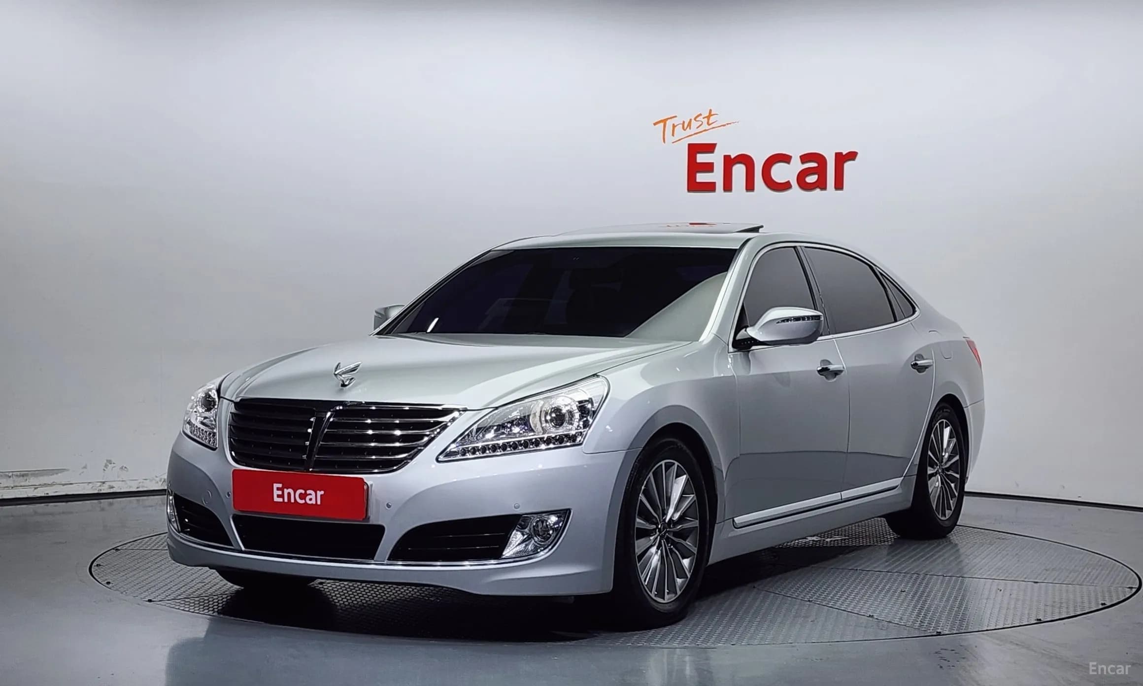 Equus (new)