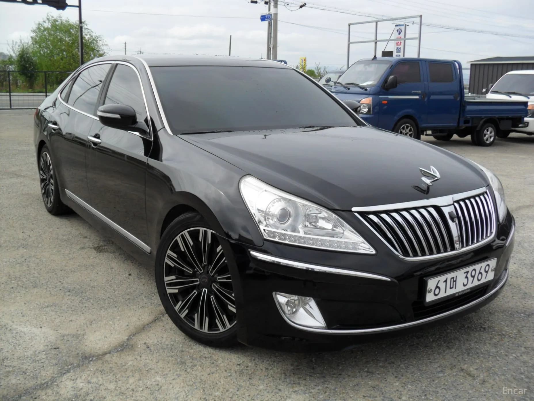 Equus (new)