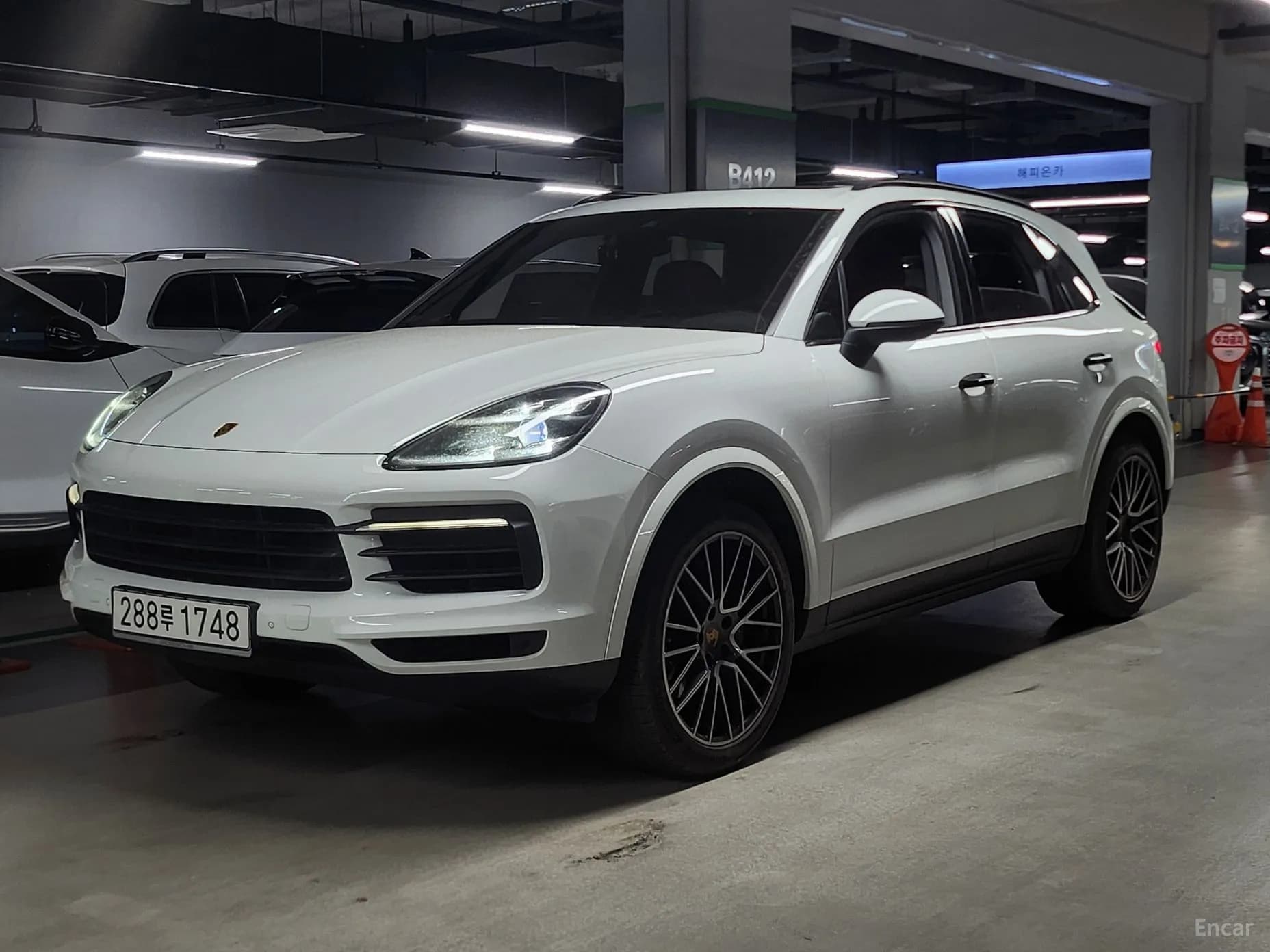 Cayenne (PO536)