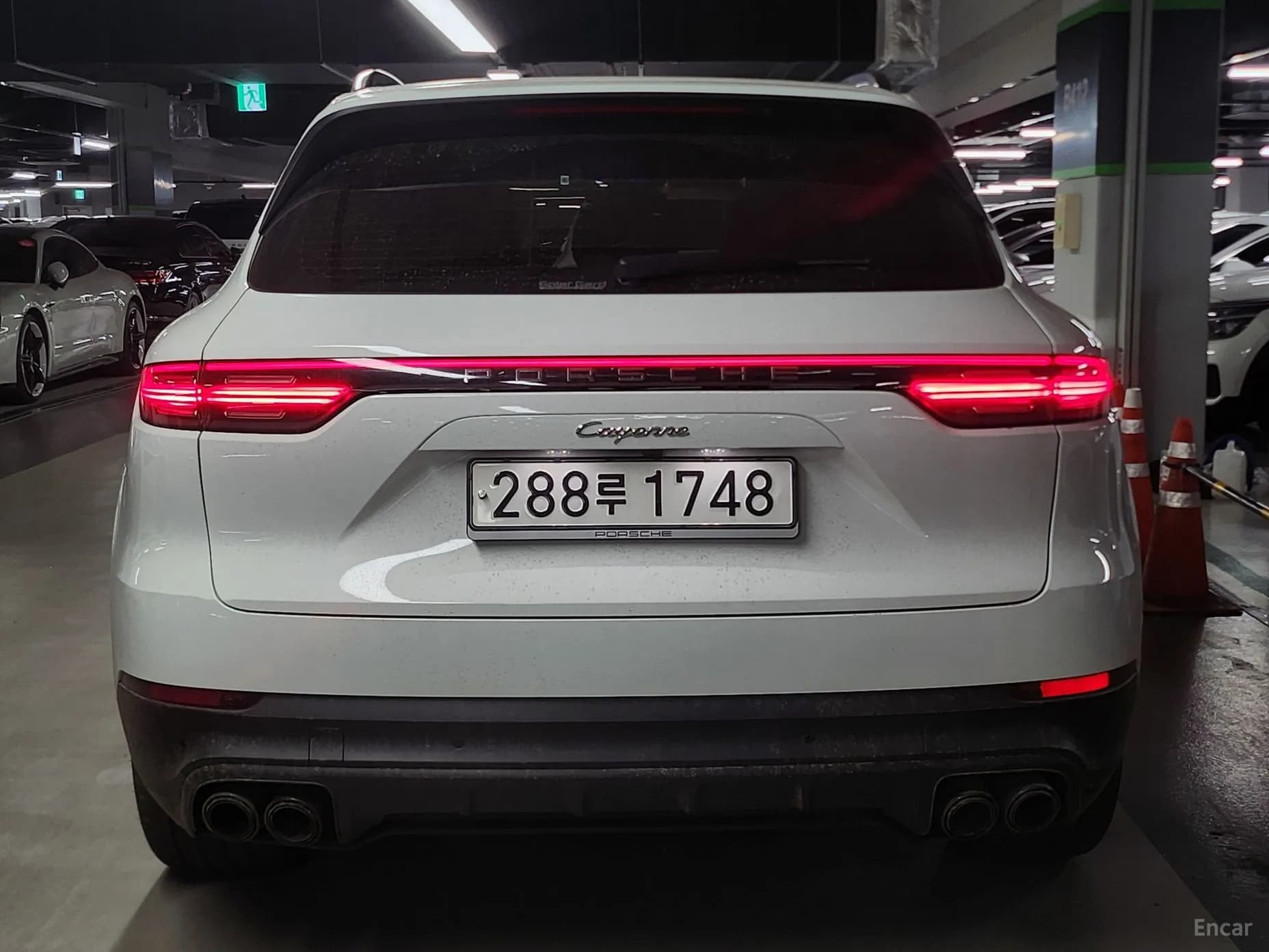 Cayenne (PO536)