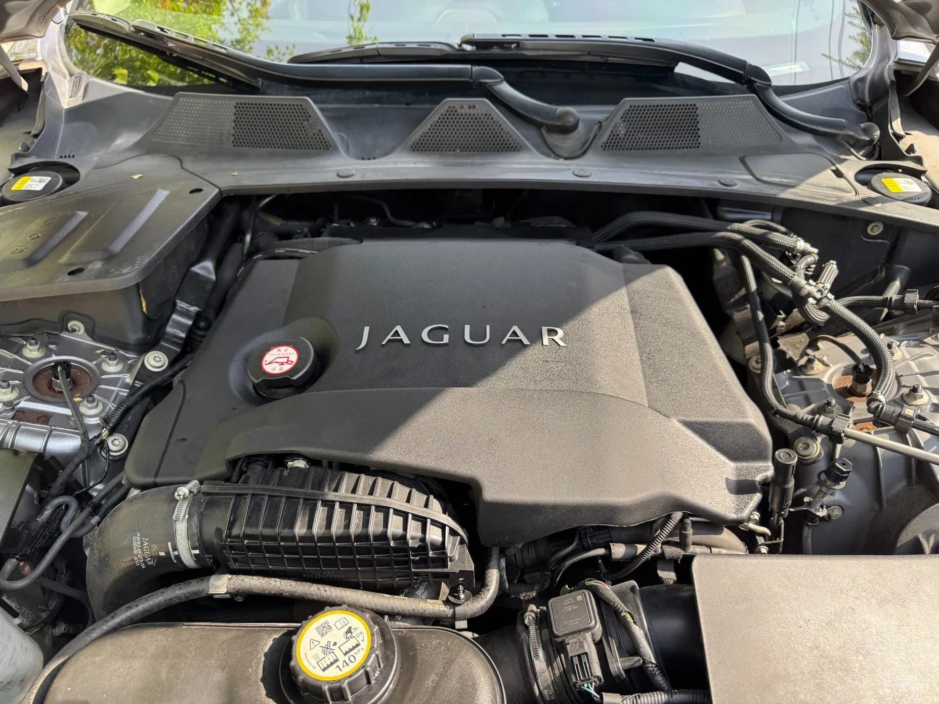 All New XJ