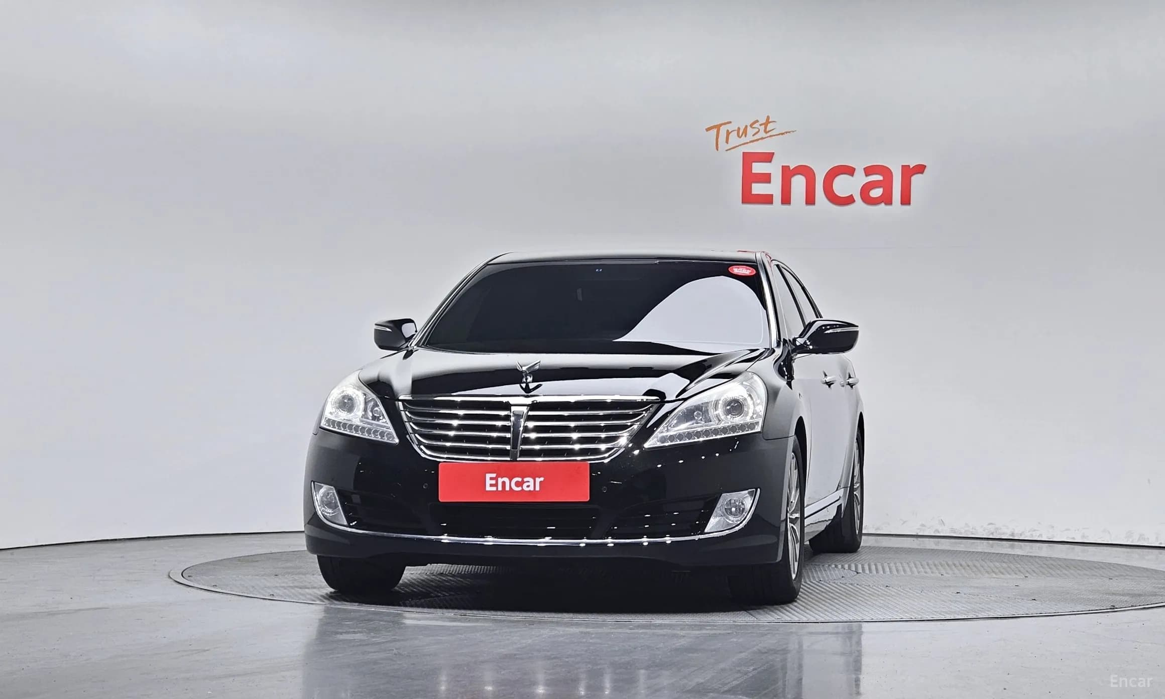Equus (new)
