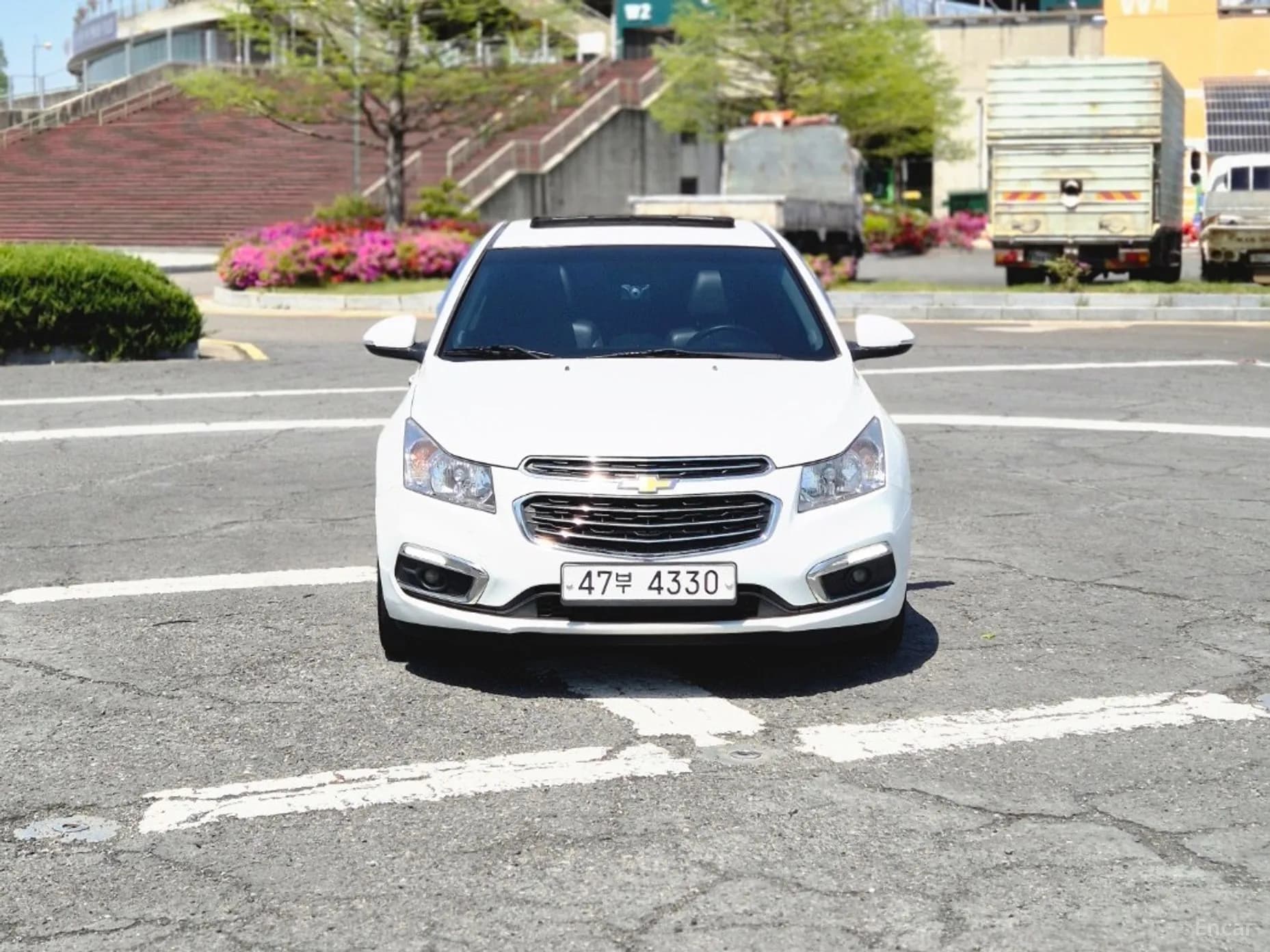 Cruze