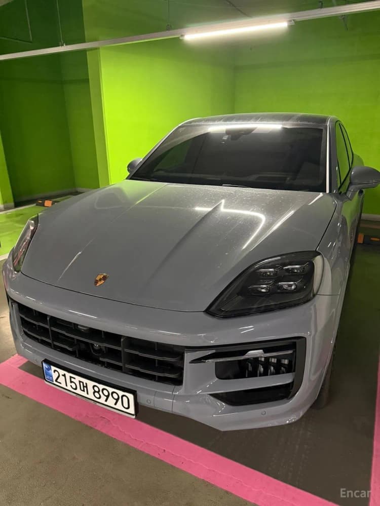 Cayenne (PO536)