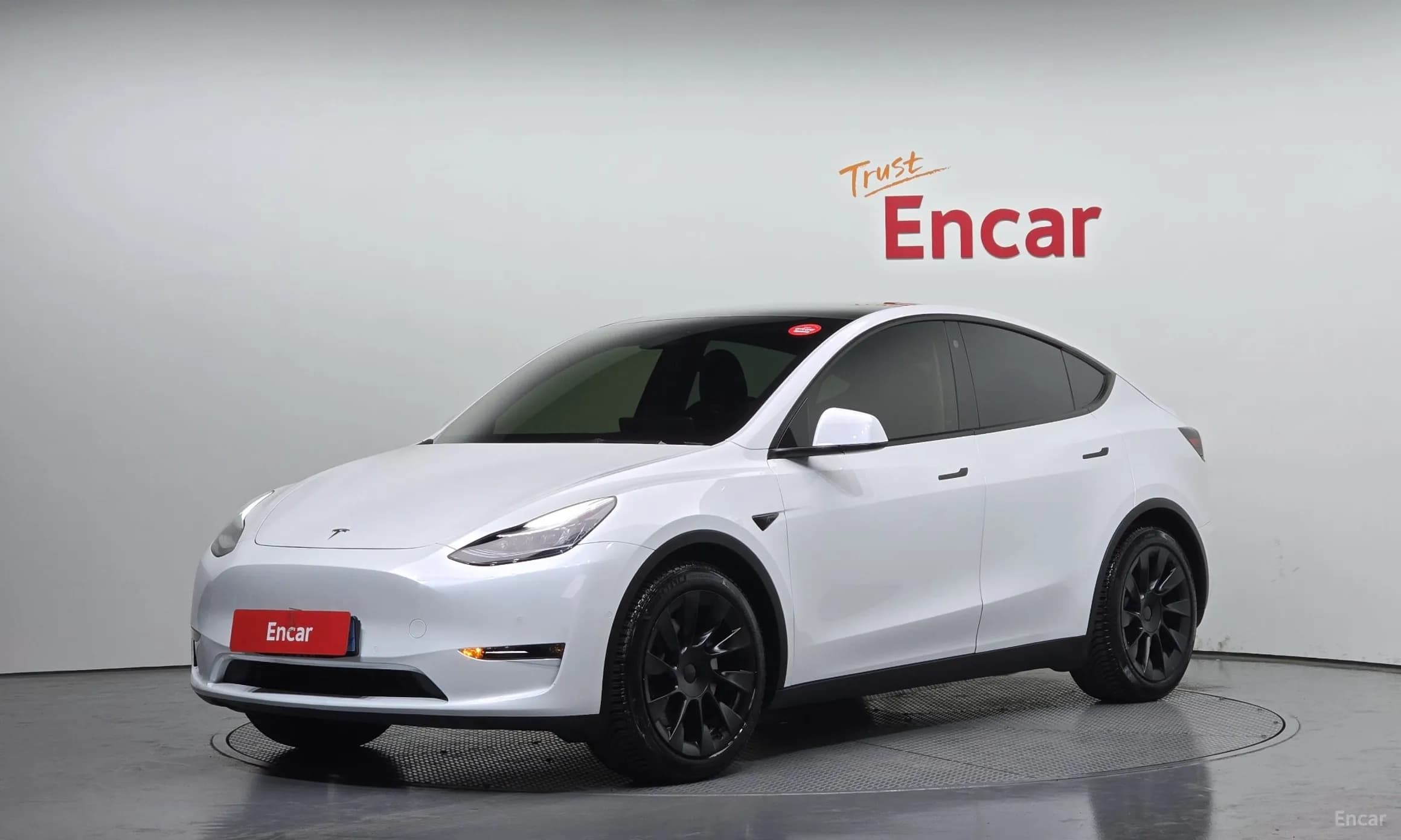 Model Y