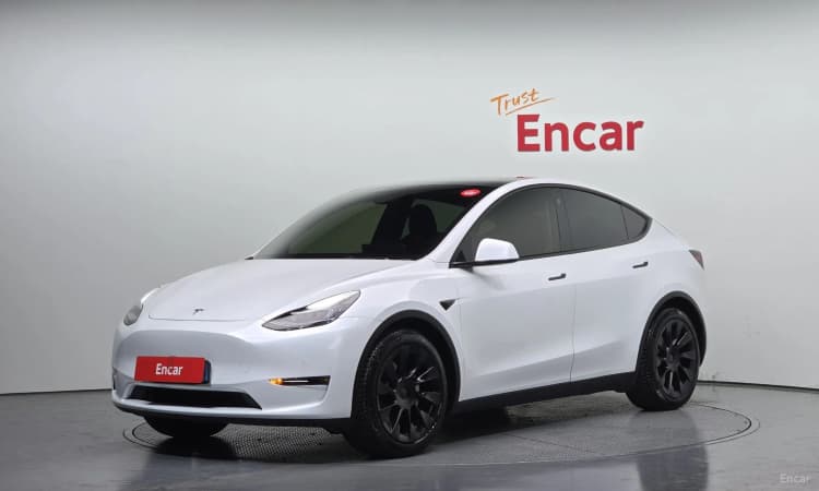 Model Y