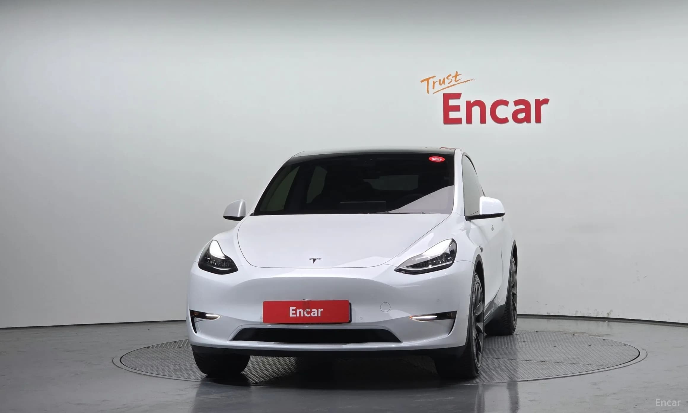 Model Y