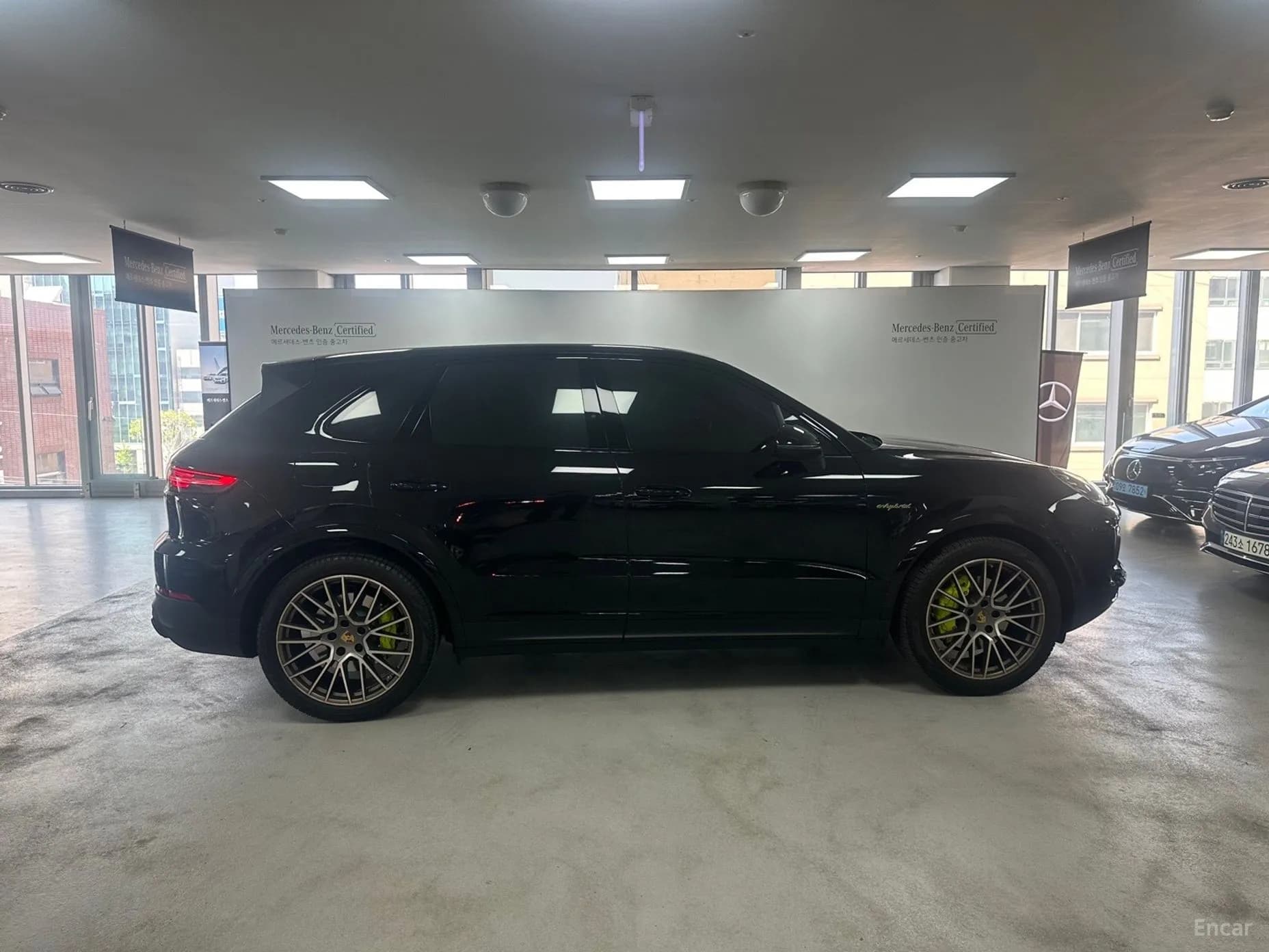 Cayenne (PO536)