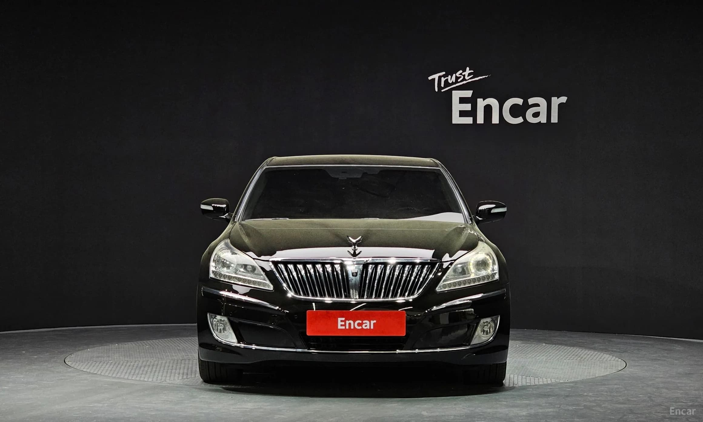 Equus (new)