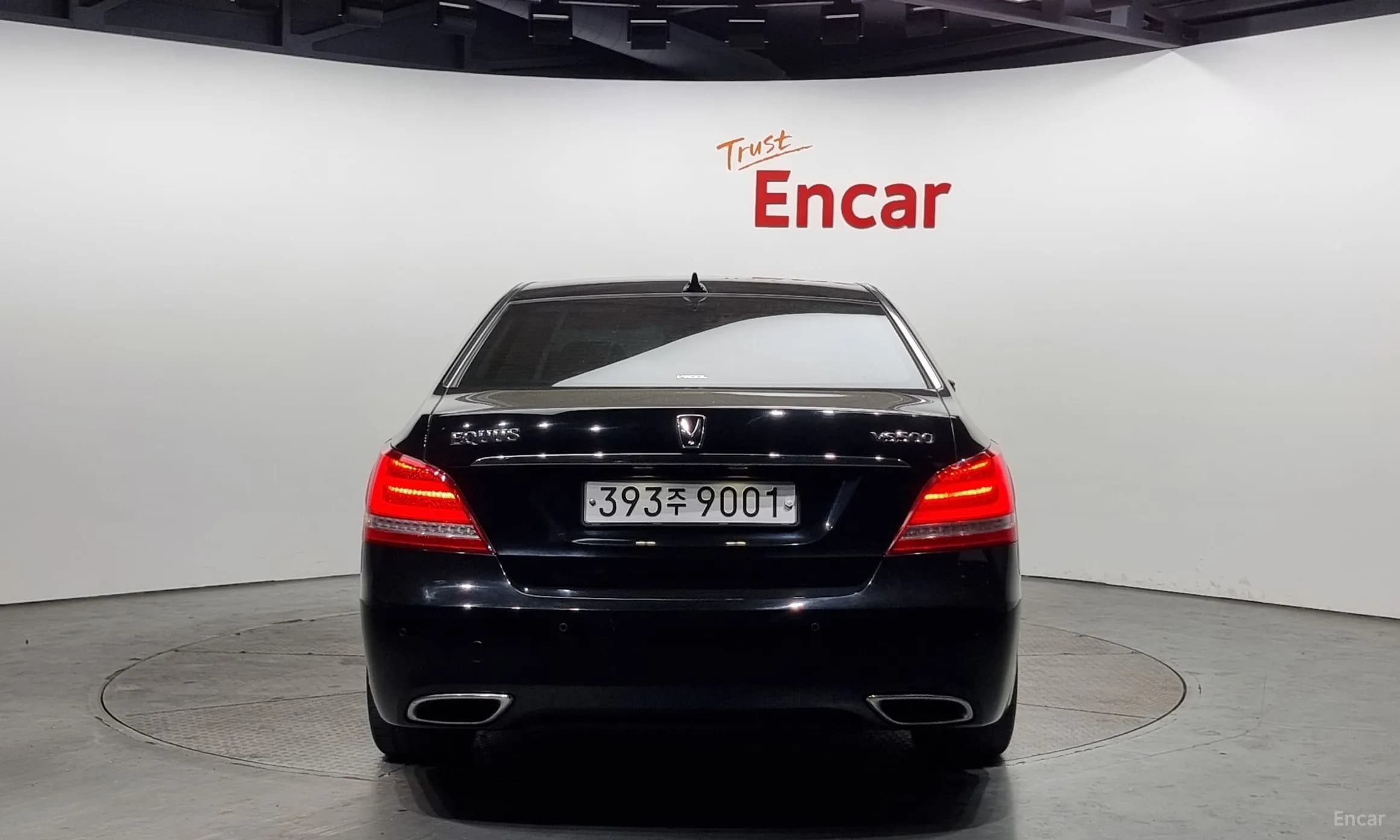 Equus (new)