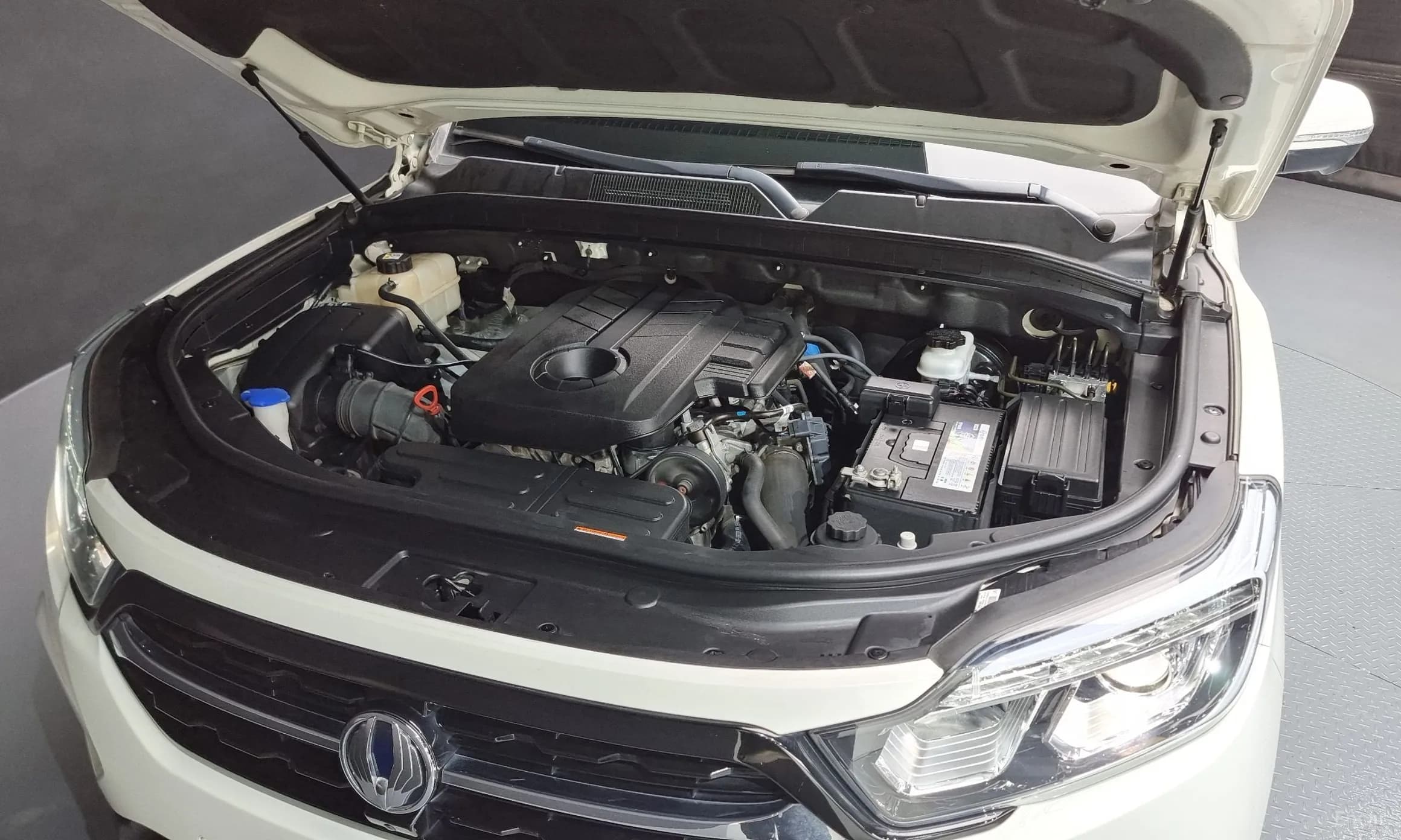 Rexton Sports