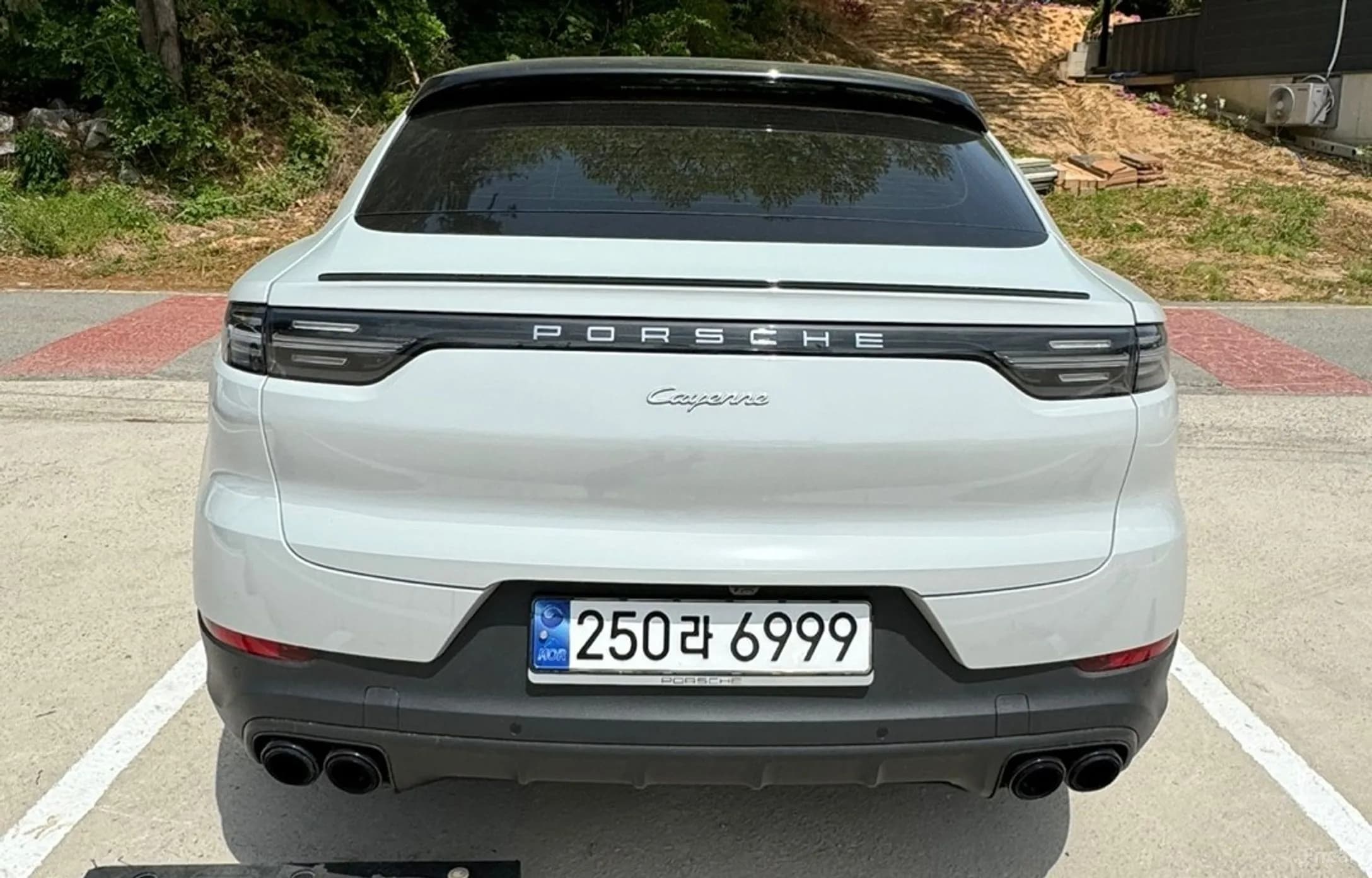 Cayenne (PO536)