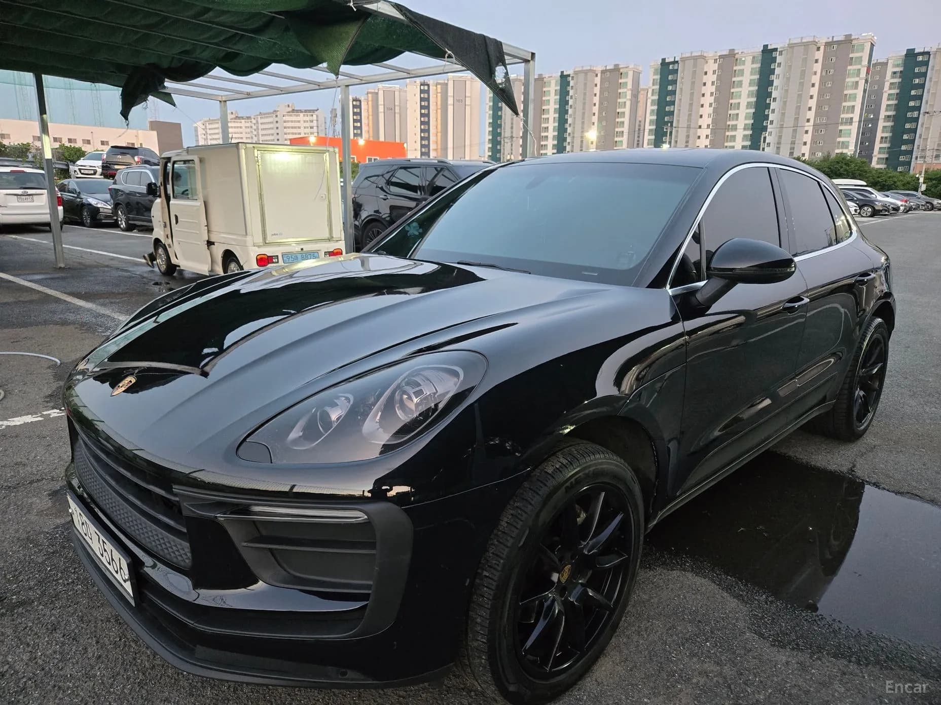 Macan