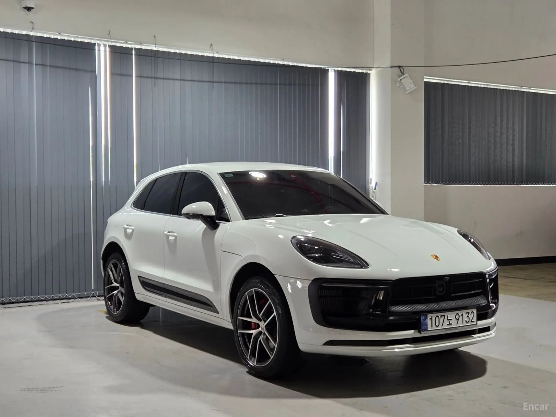 Macan